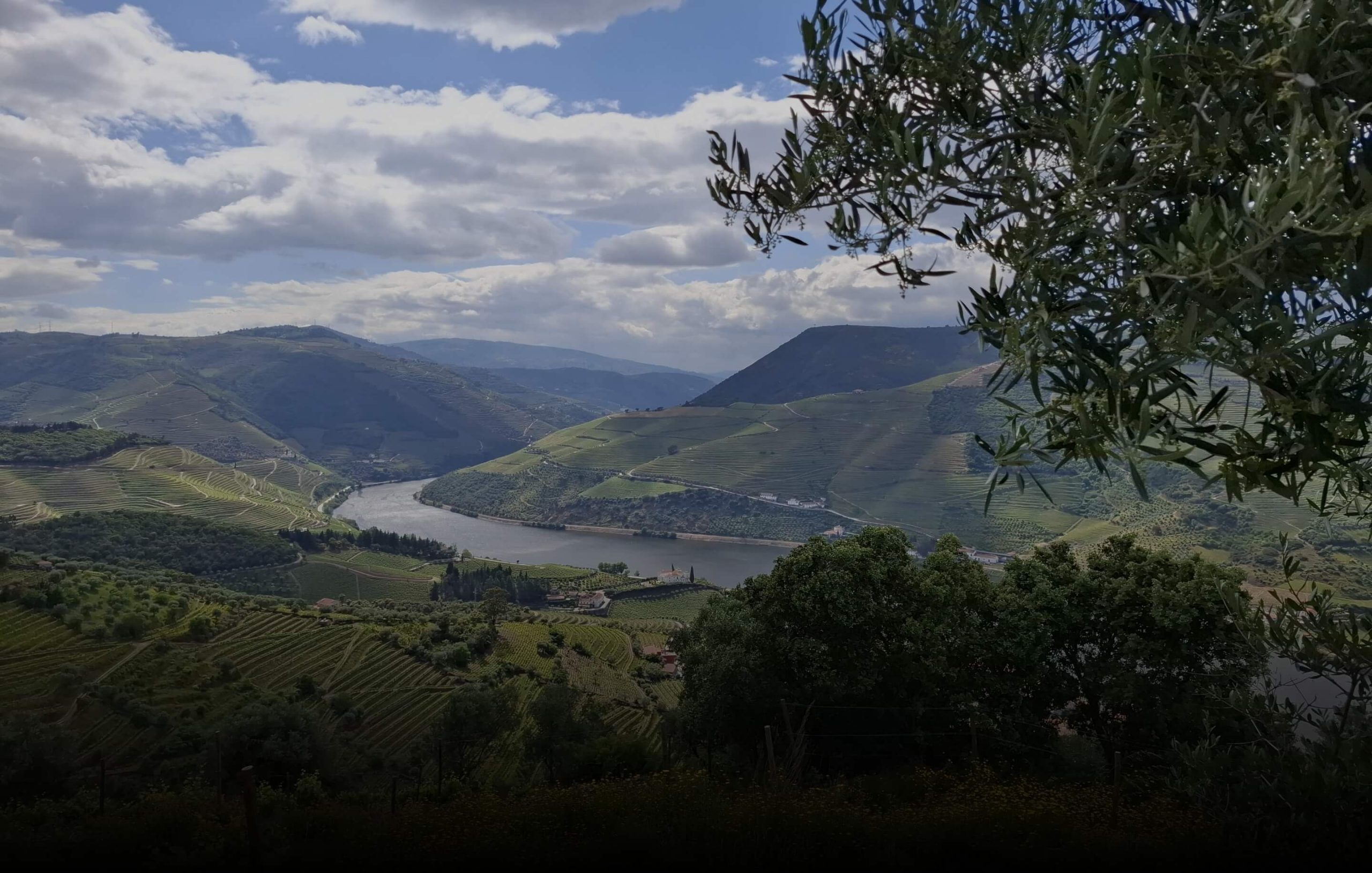 Douro