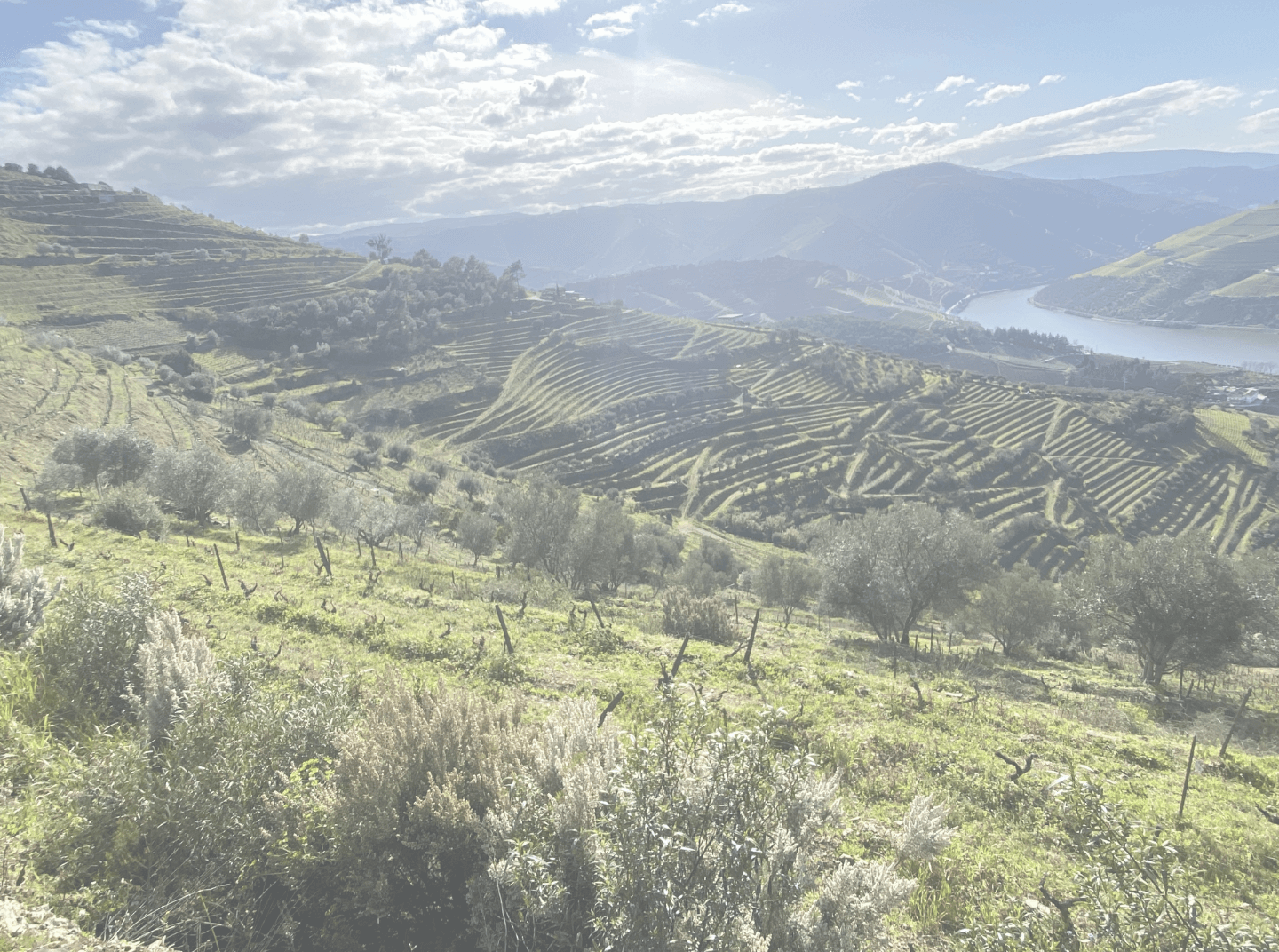 Leve consigo os sabores autênticos do Douro.